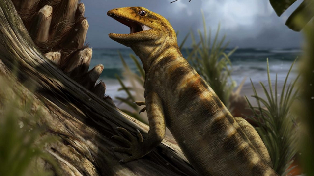 240-million-year-old lizard fossil discovery adds to reptile family tree