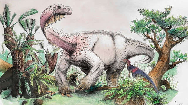 Meet the grandparent of the Brontosaurus