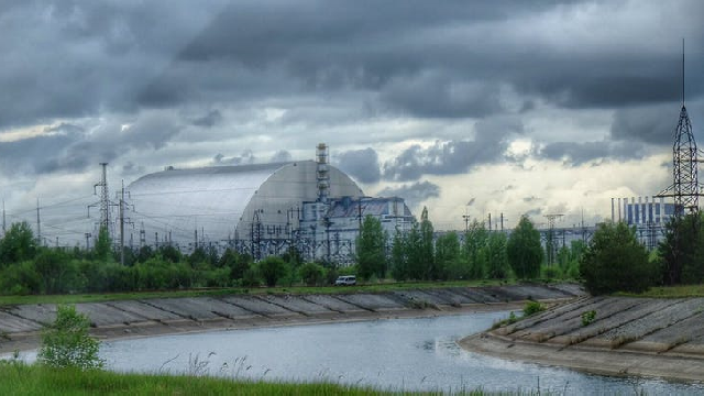 Chernobyl is now a hugely important wildlife refuge