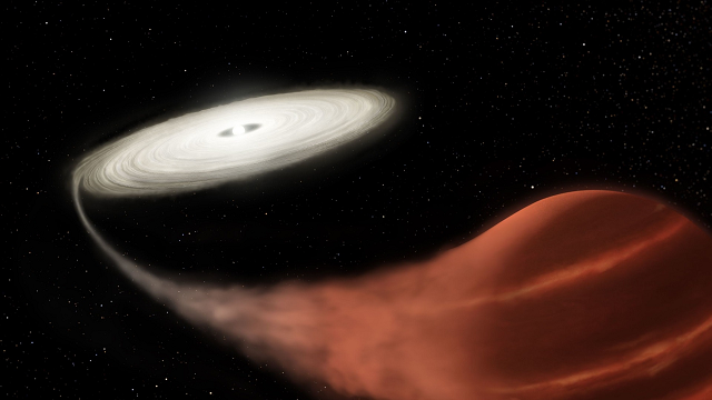A vampire star has been spotted sucking the life from its victim