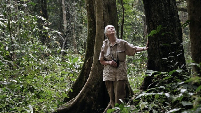 My talk with Jane Goodall: vegetarianism, animal welfare and the power of children’s advocacy