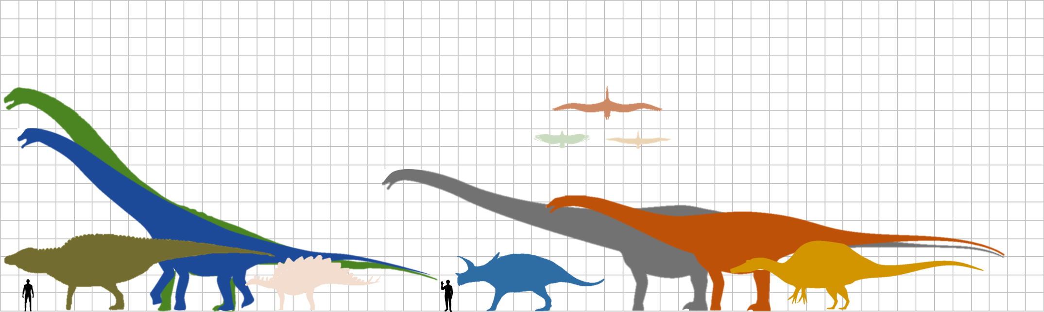 scale of the size of dinosaurs compared to an average human