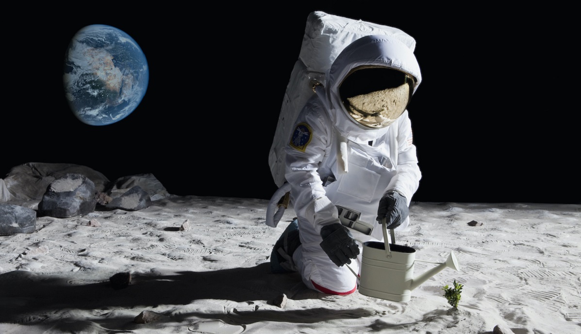 Astronaut watering a small plant on the surface of the Moon with the Earth in the background.