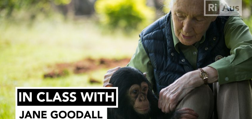 In Class With… Jane Goodall