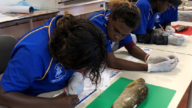 School of fish: how we involved Indigenous students in our investigation of a 65,000-year-old site