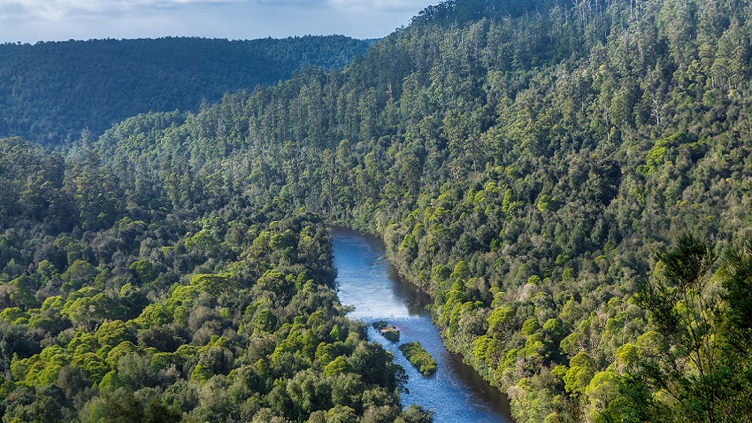 The Arthur River flowing through the green hills of the Tarkine Wilderness,